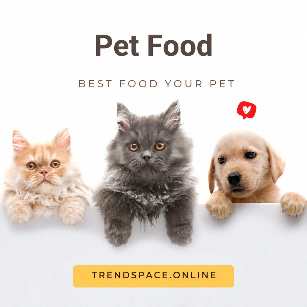 Pets Food