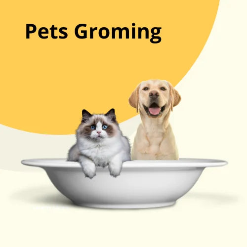 Pets Groming